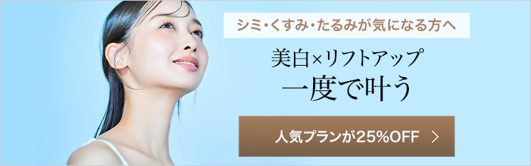 選べるオプション付きプラン