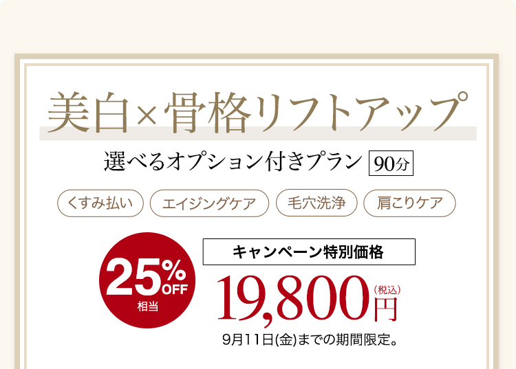 選べるオプション付きプラン